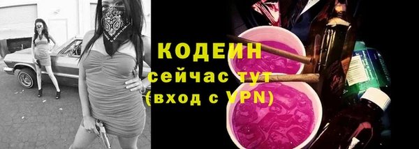 хмурый Богородск