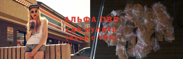 Альфа ПВП Бородино