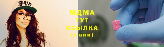 гашик Богданович