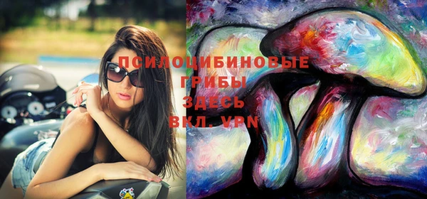гашик Богданович