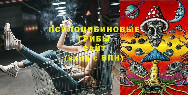 спиды Бугульма