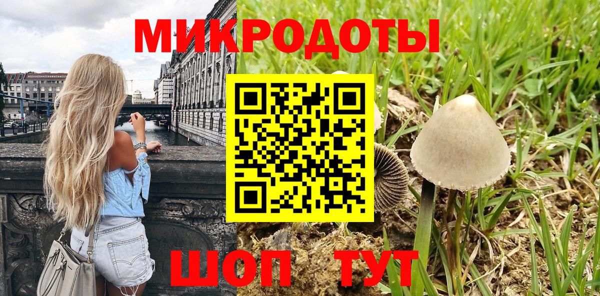 Псилоцибиновые грибы Psilocybine cubensis Печора