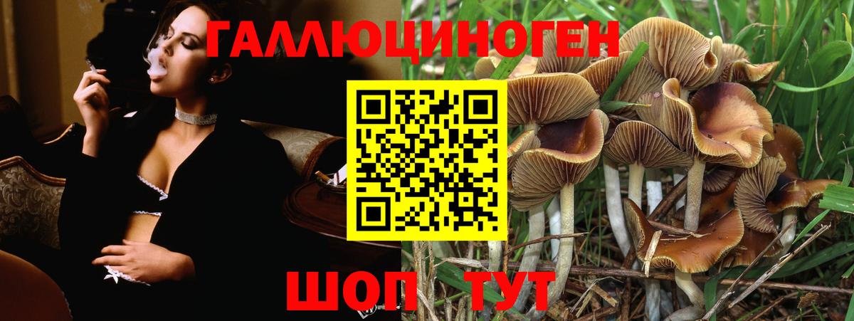 Псилоцибиновые грибы прущие грибы  Псилоцибиновые грибы Psilocybe  Печора  Вход с VPN 
